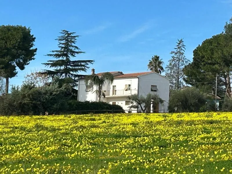 Vista ingrandita
