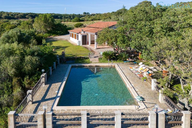 Villa Olive tree, immersa nella natura per relax e quiete
