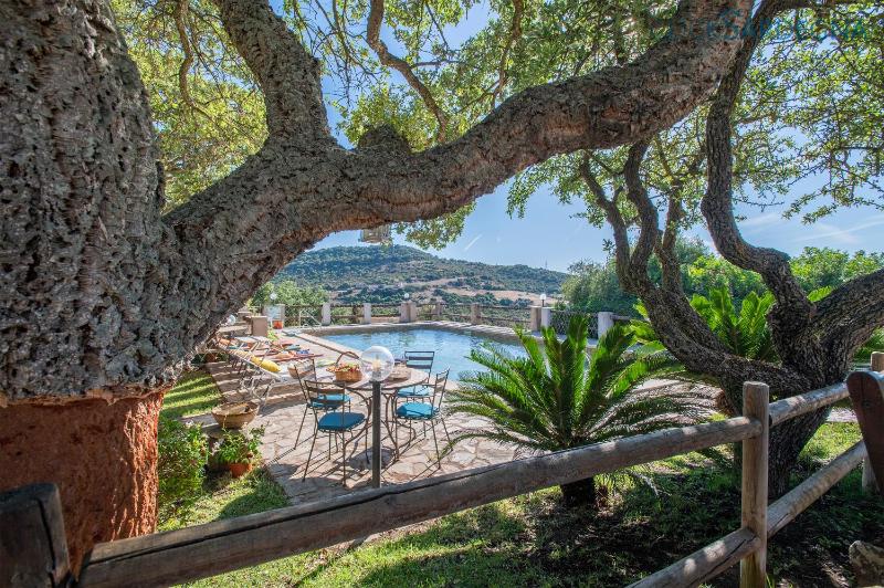 Villa Olive tree, immersa nella natura per relax e quiete