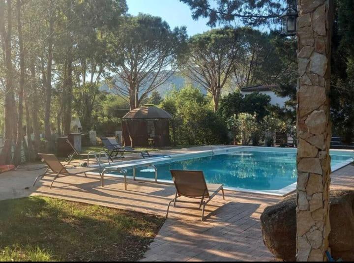 Vista ingrandita