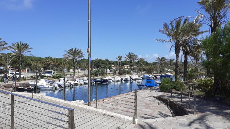 Vista ingrandita