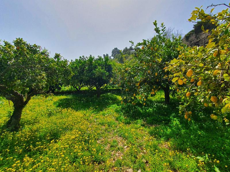 Villa Tommaso Maruggi, Sicilia, con Jacuzzi e piscina privata