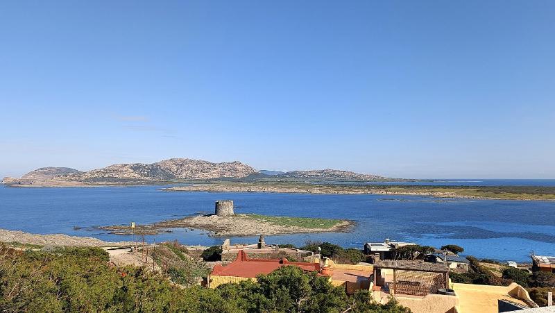 Vista ingrandita