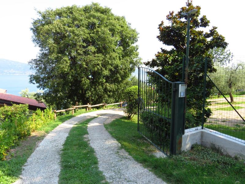Ville in uliveto vista lago - VILLA CASALIVA