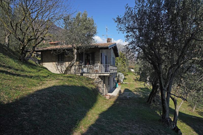 Ville in uliveto vista lago - VILLA CASALIVA