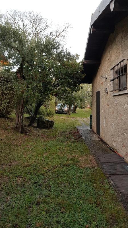 Ville in uliveto vista lago - VILLA CASALIVA