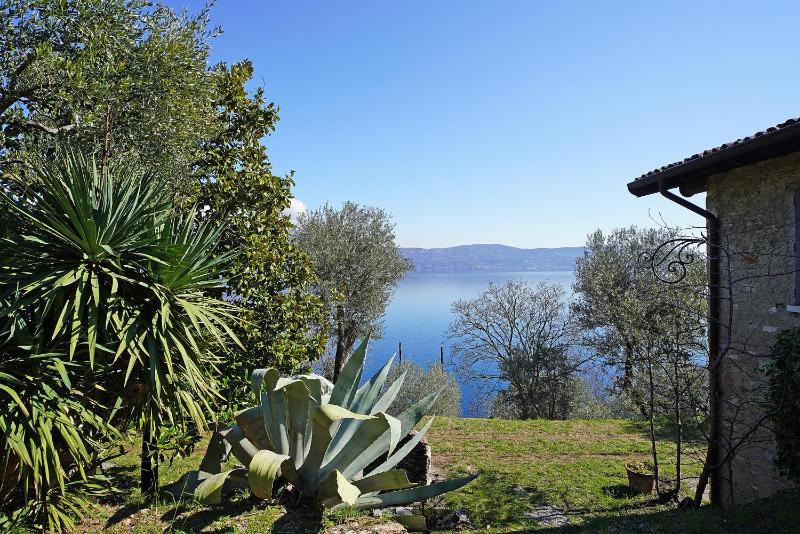 Ville in uliveto vista lago - VILLA CASALIVA