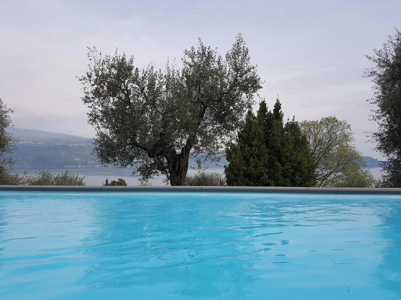 Ville in uliveto vista lago - VILLA LECCINO