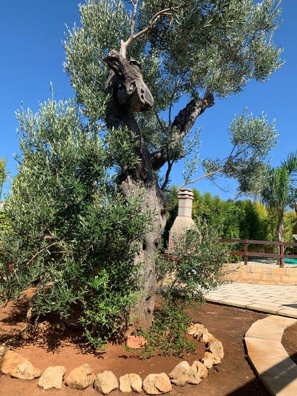 Villetta Mari con piscina esclusiva nel Salento