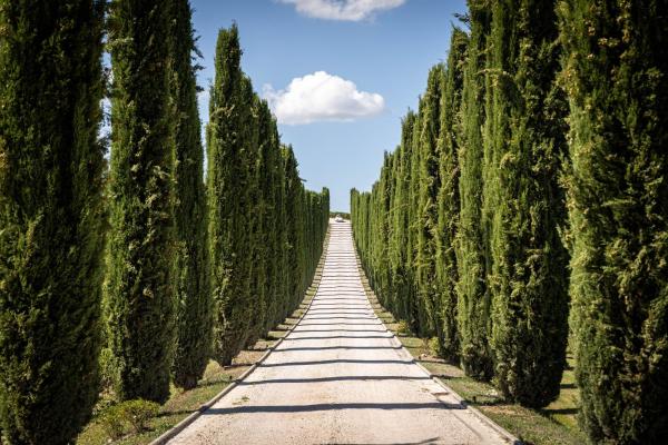 Fattoria Colsanto - agriturismo con piscina in Umbria Fattoria Colsanto - agriturismo con piscina in Umbria