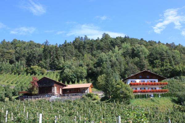 Ferienbauernhof Masunerhof - agriturismo con piscina in Trentino-Alto Adige