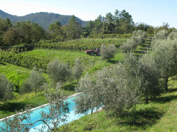 Sostio a Levante - agriturismo con piscina in Liguria