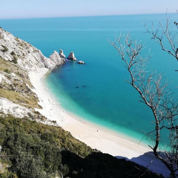 Tobacco Road camping Sirolo - camping con piscina in Marche