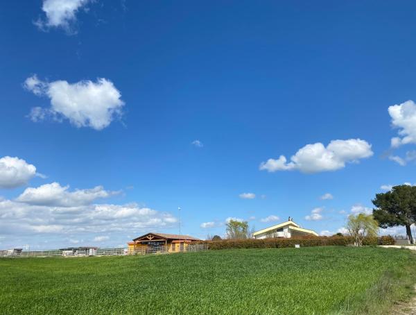 Vento Barocco - Equitazione e Turismo - agriturismo con piscina in Basilicata